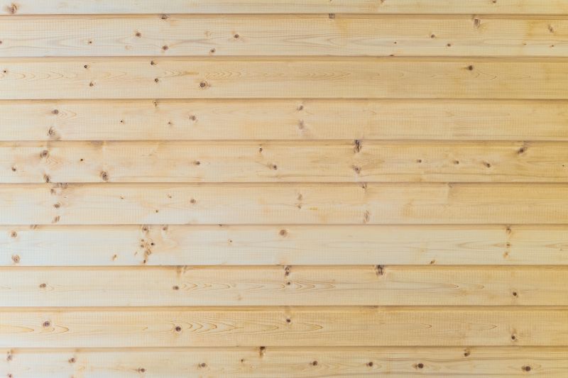 Woodpecker Damage on Wooden Siding