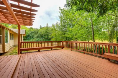 Woodpeckers Can Cause Damage to a Deck