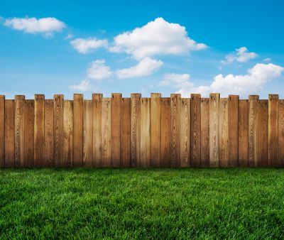 Woodpeckers Can Cause Damage to a Fence